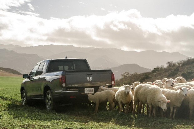 Honda ridgeline road trip #4