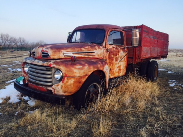 49 Ford Dump in field 2